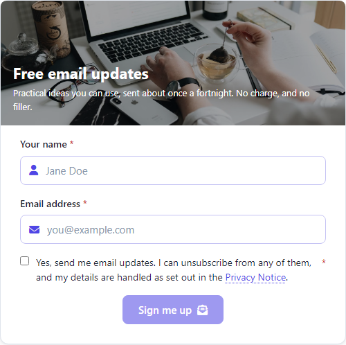 Email Newsletter Signup Form Template template preview